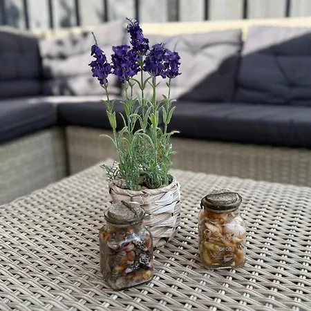 Sunny Escape Hoek Holland 別荘