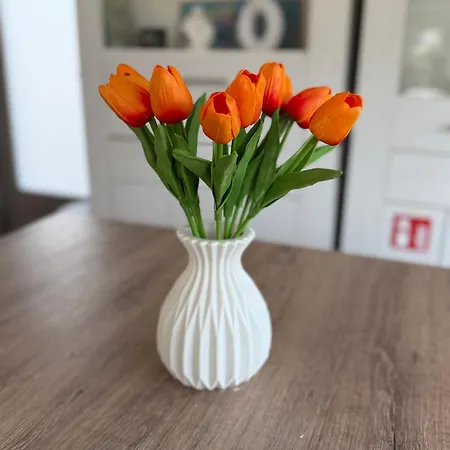 Sunny Escape Hoek Holland 別荘 フク・ファン・ホラント