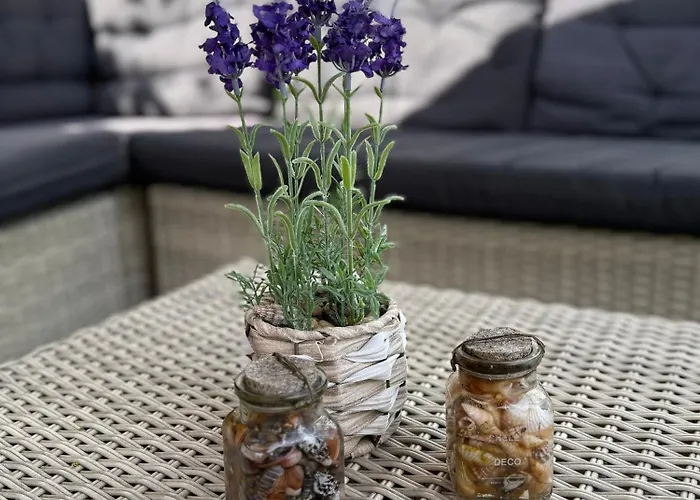 Sunny Escape Hoek Holland Дом отдыха